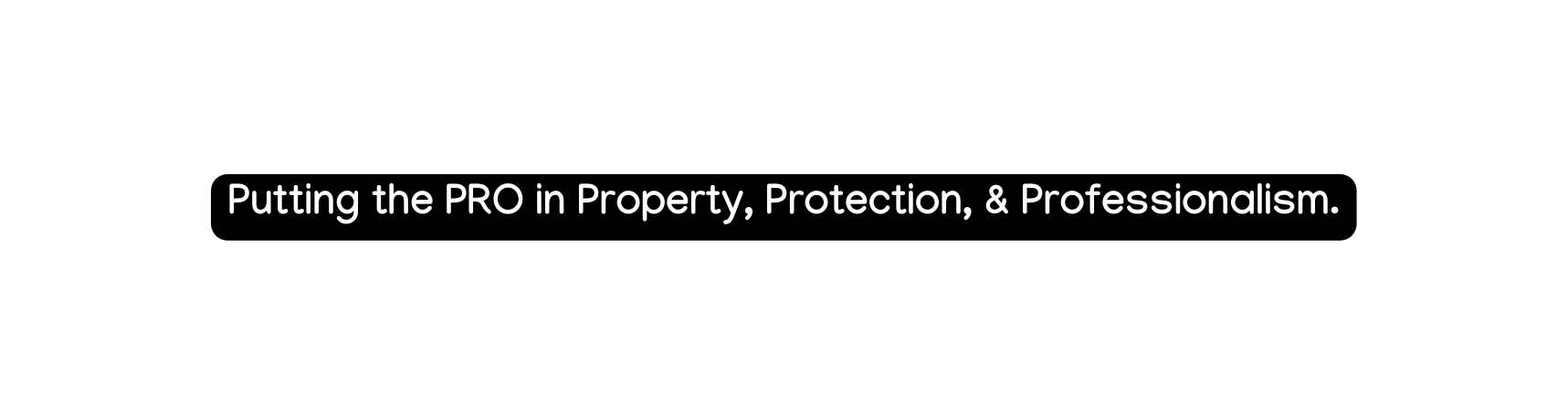 Putting the PRO in Property Protection Professionalism